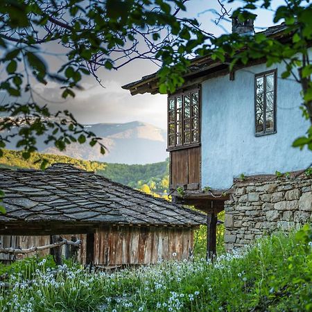 阿普里尔齐Authentic House With Stunning Mountain View - Karashka别墅 外观 照片