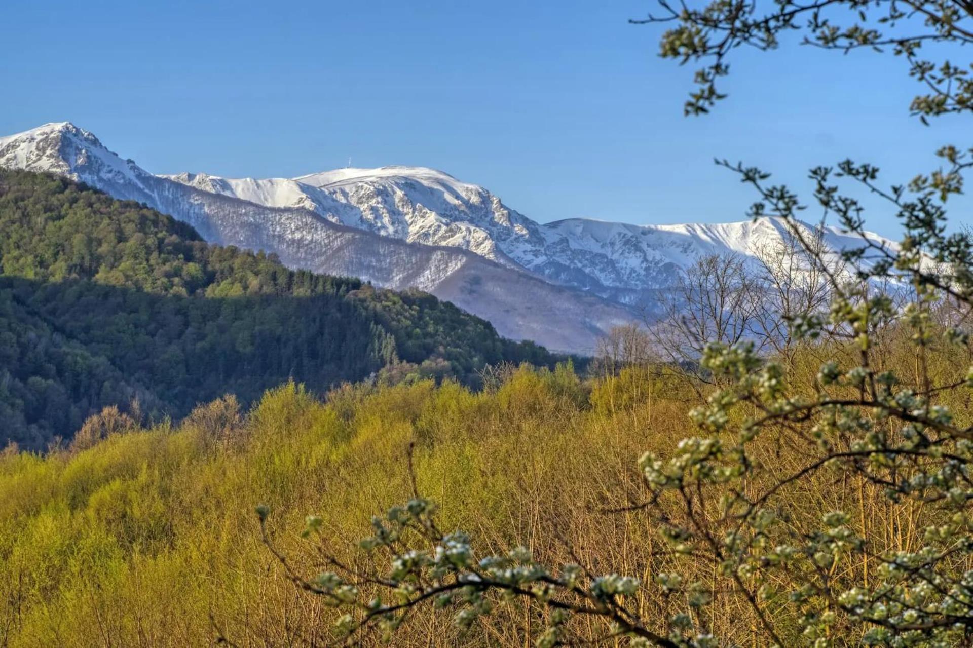 阿普里尔齐Authentic House With Stunning Mountain View - Karashka别墅 外观 照片