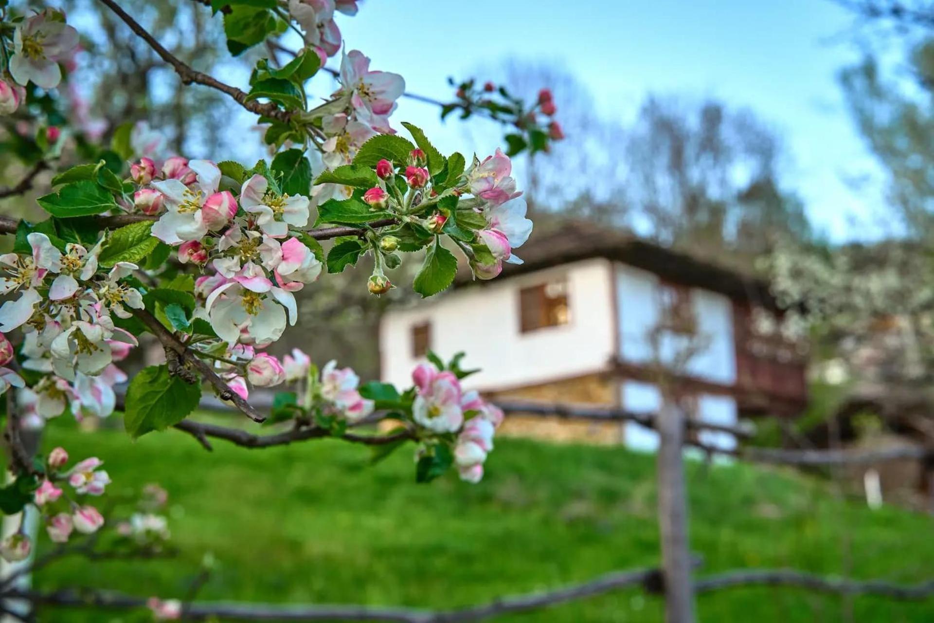 阿普里尔齐Authentic House With Stunning Mountain View - Karashka别墅 外观 照片